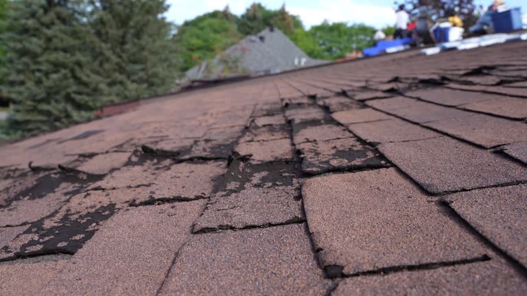 Best Hot Roofs  in Chinchilla, PA