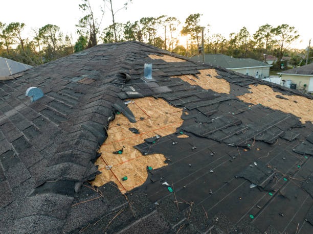 Best Roof Ventilation Installation  in Chinchilla, PA